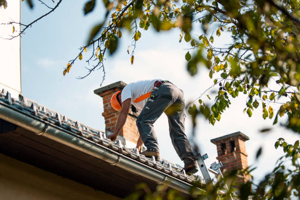 Best Sealant for Roof  in Nephi, UT