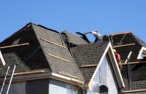 Best Shingle Roofing Installation  in Nephi, UT