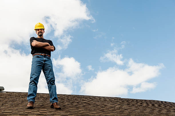 Best Roof Gutter Cleaning  in Nephi, UT